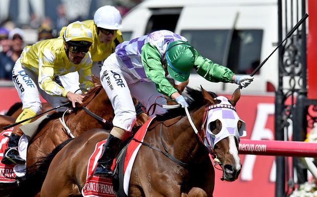 Prince of Penzance Prince of Penzance wins Melbourne Cup Radio New Zealand News