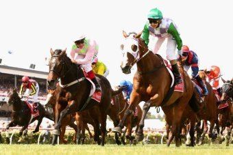 Prince of Penzance 2016 Melbourne Cup entries announced Prince of Penzance back for