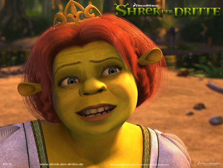 Shrek 2 Fiona Turns Human