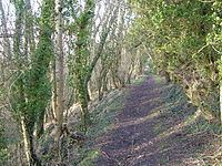 Prior's Park & Adcombe Wood httpsuploadwikimediaorgwikipediacommonsthu