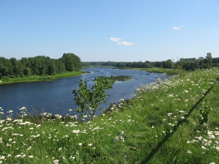 Pärnu (river) httpsuploadwikimediaorgwikipediacommonsaa