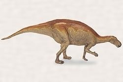 Probactrosaurus FPDM Dinosaur Catalog Probactrosaurus