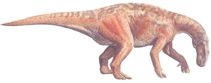 Probactrosaurus Probactrosaurus Pictures amp Facts The Dinosaur Database