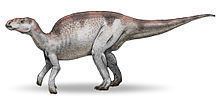 Probactrosaurus httpsuploadwikimediaorgwikipediacommonsthu