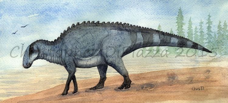 Probrachylophosaurus Prehistoric Beast of the Week Probrachylophosaurus Beast of the Week