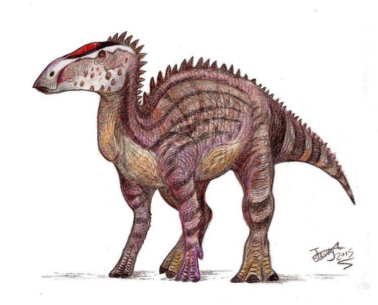 Probrachylophosaurus Probrachylophosaurus by HodariNundu on DeviantArt