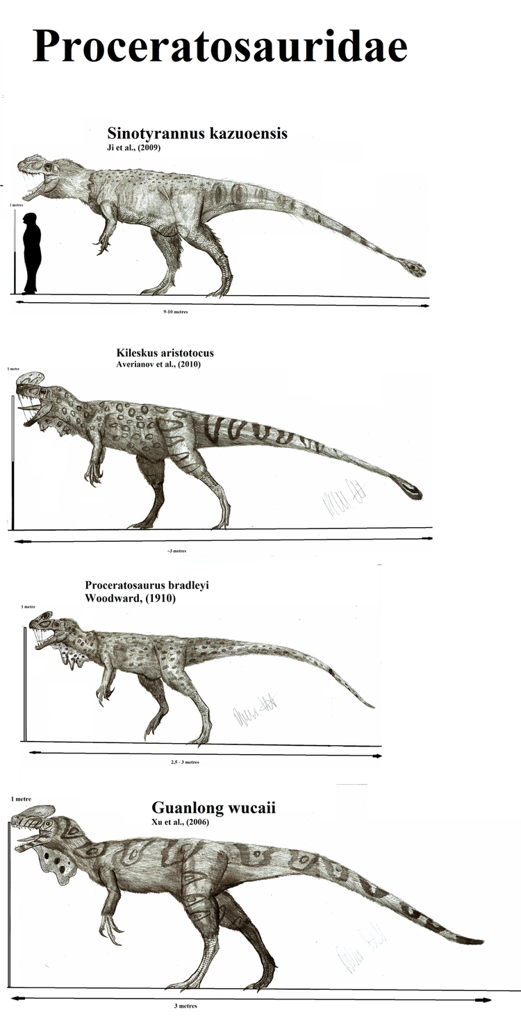 Proceratosauridae img09deviantartnet98dfi201217961procerato