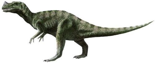 Proceratosaurus Proceratosaurus Pictures amp Facts The Dinosaur Database