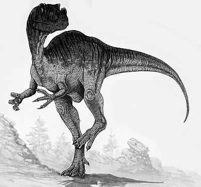 Proceratosaurus The Dino Directory Proceratosaurus Natural History Museum