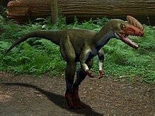 Proceratosaurus httpsuploadwikimediaorgwikipediacommonsthu