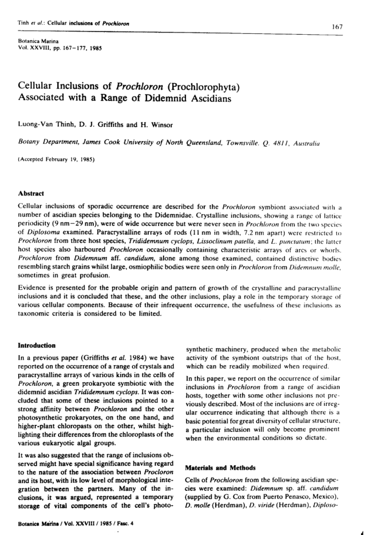 Prochlorophyta Cellular Inclusions of Prochloron Prochlorophyta Associated with a