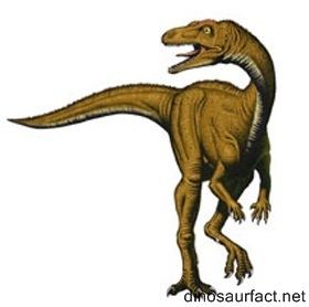 Procompsognathus Procompsognathus dinosaur