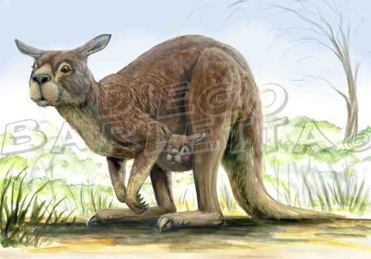 Procoptodon procoptodon DeviantArt