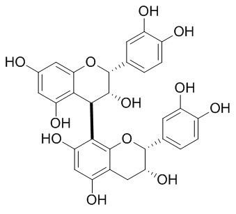 Procyanidin B2 Procyanidin B2 CAS29106498 Product Use Citation ChemFaces