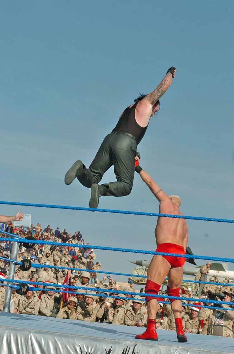 Professional wrestling aerial techniques