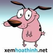 Net Xemhoathinh (Editor)