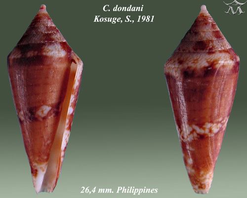 Profundiconus dondani