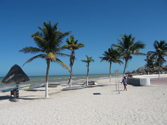 Progreso, Yucatán httpsmediacdntripadvisorcommediaphotos01