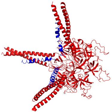 Prokaryotic ubiquitin-like protein