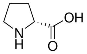 Proline DProline ReagentPlus 99 SigmaAldrich