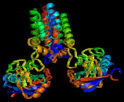 Prolyl isomerase Peptidylprolyl isomerase A Wikipedia
