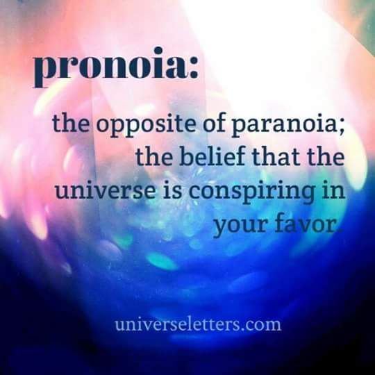 Pronoia (psychology) Pronoia the opposite of paranoia the belief that the universe is