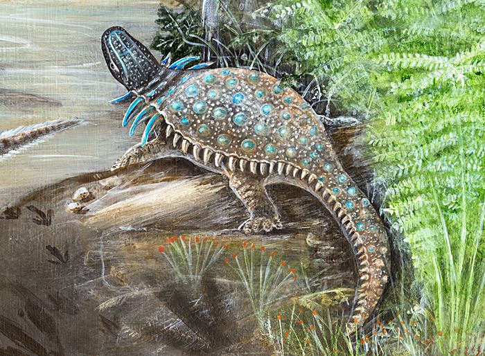 Propanoplosaurus httpsnaturalhistorysieduexhibitsbackyarddi