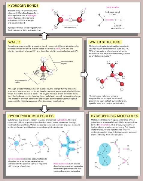 Properties of water Chemical Properties of Water Part 1