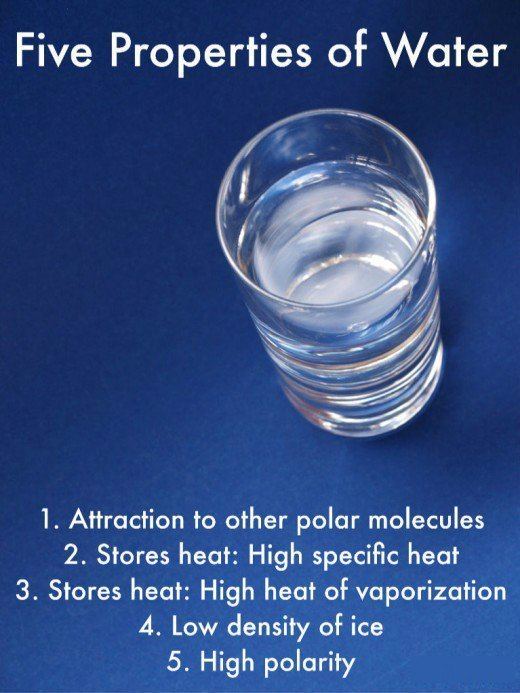Properties of water 5 Properties of Water Owlcation