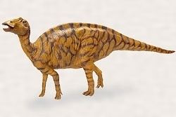 Prosaurolophus FPDM Dinosaur Catalog Prosaurolophus blackfeetensis