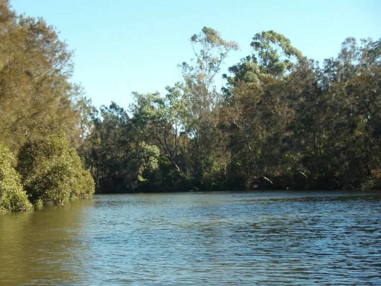 Prospect Creek (New South Wales) wwwgeorgesriverorgauIgnitionSuiteuploadsimag