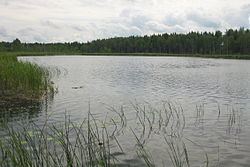Prossa httpsuploadwikimediaorgwikipediacommonsthu