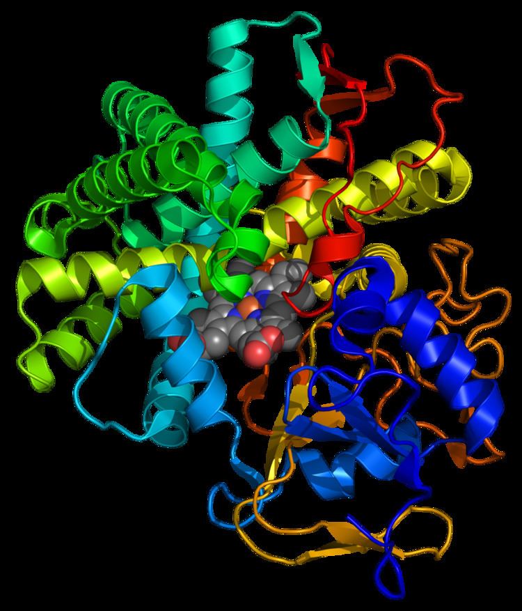 Prostacyclin synthase