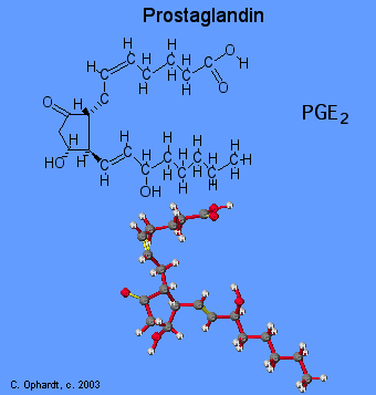 Prostaglandin Prostaglandins