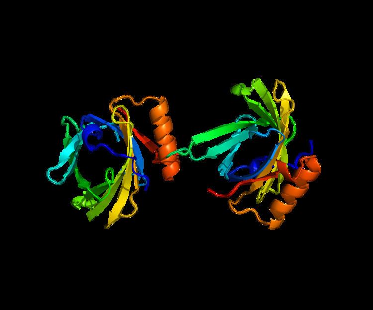 Prostaglandin-D synthase