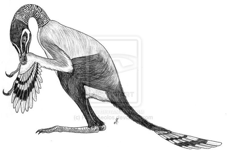 Protarchaeopteryx Protarchaeopteryx Pictures amp Facts The Dinosaur Database