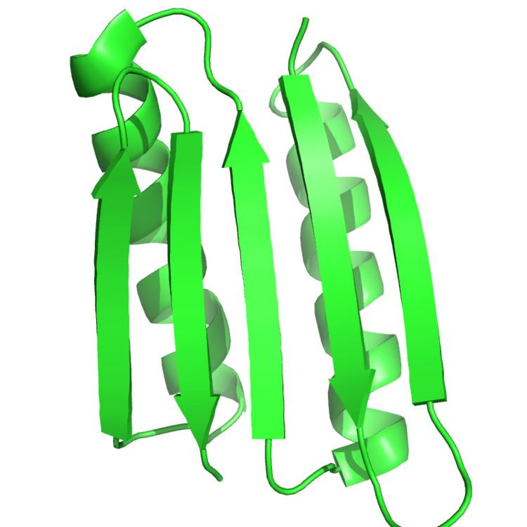 Protein design