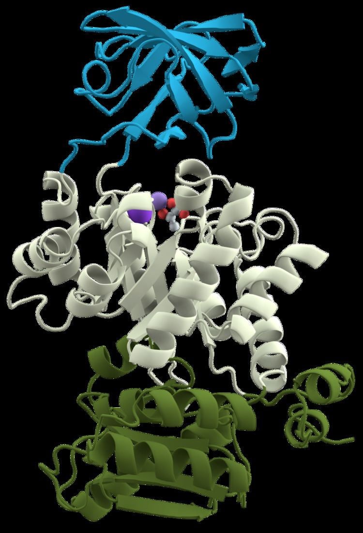 Protein domain