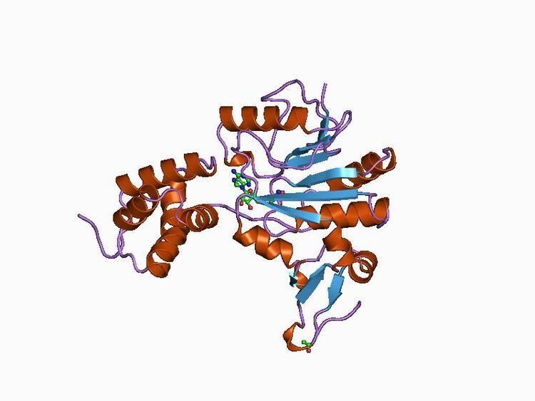 Protein-glutamate O-methyltransferase