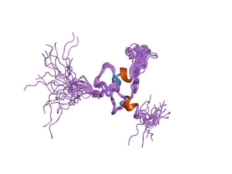 Protein inhibitor of activated STAT