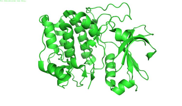 Protein kinase B