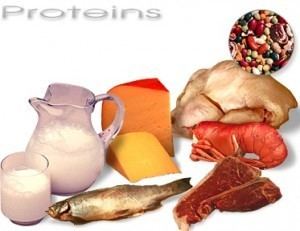 Protein (nutrient) Fats Proteins Carbs Macronutrient Density Training Aspects