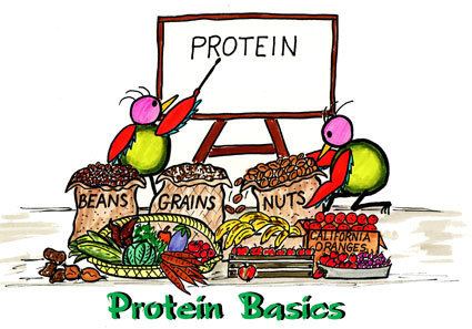 Protein (nutrient) 9 Great Sources of Protein for Vegetarians hungry and fit