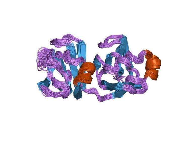 Protein S (Myxococcus xanthus)