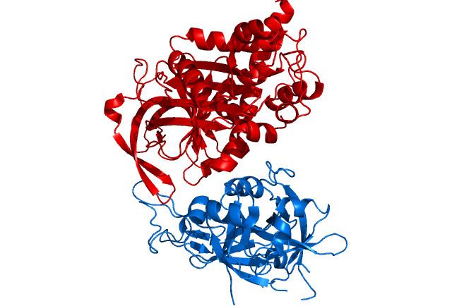 Protein Z-related protease inhibitor