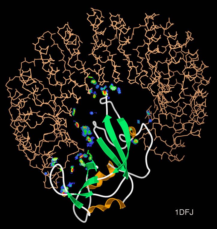 Protein–protein interaction