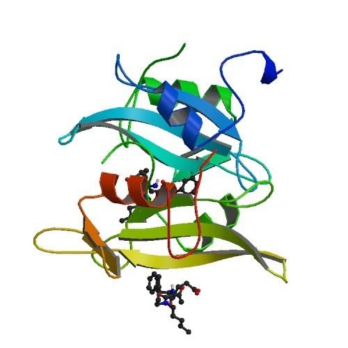 Proto-oncogene tyrosine-protein kinase Src
