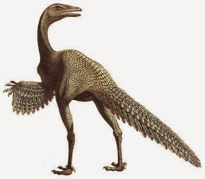 Protoavis Birds To Dinosaur Protoavis Triassic
