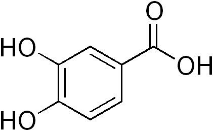 Protocatechuic acid FileProtocatechuic acidpng Wikimedia Commons