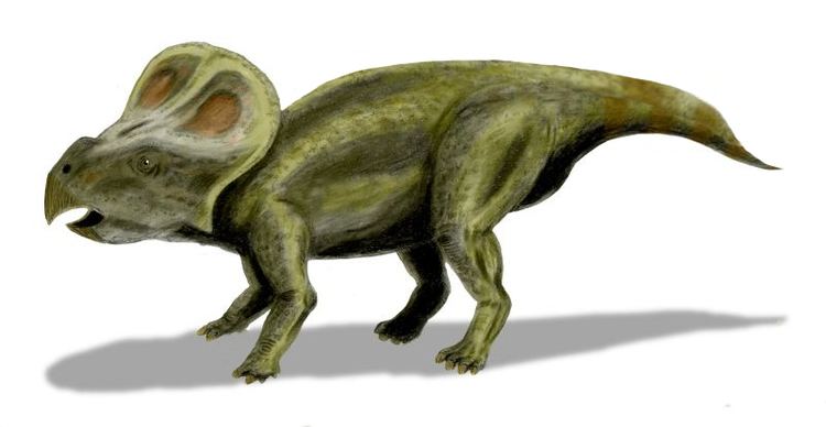 Protoceratops Protoceratops DinoPit